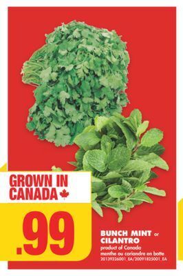 No Frills Bunch mint or cilantro offer