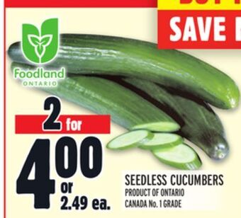 Metro Seedless cucumbers offer