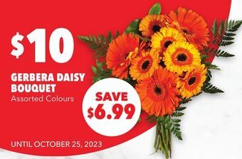 Metro Gerbera daisy bouquet offer