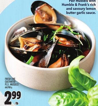 Metro Fresh live cultivated p.e.i mussels offer