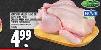 Metro Yorkshire valley farms or maple leaf prime organic fresh whole chicken or chicken drumsticks offer