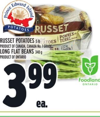 Metro Russet potatoes offer