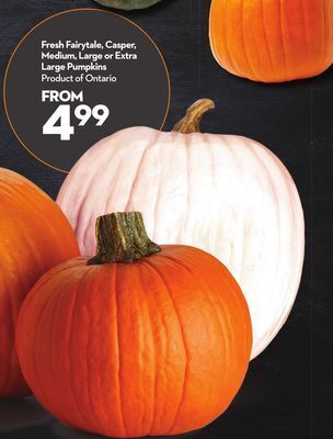 Longo's Fresh fairytale, casper, medium, large or extra large pumpkins offer