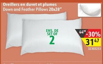 Hart Down and feather pillows 20x28 offer