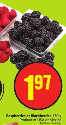 FreshCo Raspberries or blackberries 170 g product of usa or mexico offer