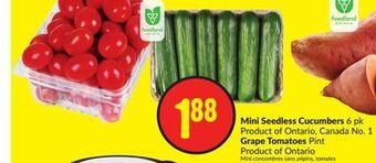 FreshCo Mini seedless cucumbers 6 pk product of ontario, canada no. 1 grape tomatoes pint product of ontario offer