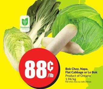 FreshCo Bok choy, napa, flat cabbage or lo bok product of ontario 1.94/kg offer