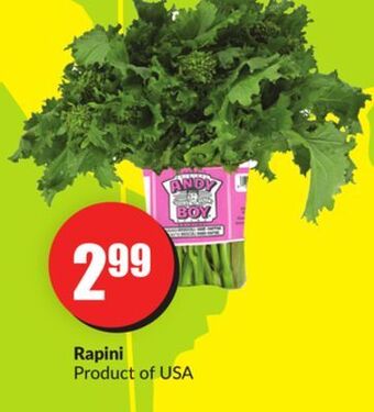 FreshCo Rapini product of usa offer