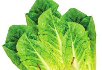Giant Tiger 3 pack romaine hearts offer