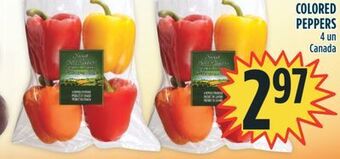 Marché Adonis Colored peppers offer