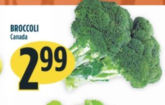 Marché Adonis Broccoli offer