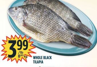 Marché Adonis Whole black tilapia offer