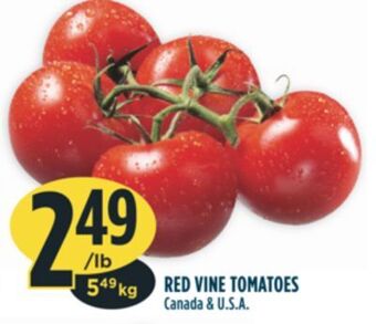 Marché Adonis Red vine tomatoes offer