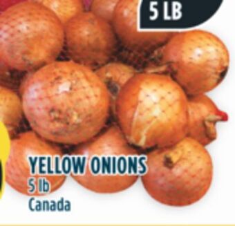 Marché Adonis Yellow onions offer