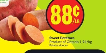 Chalo FreshCo Sweet potatoes product of ontario 1.94/kg offer