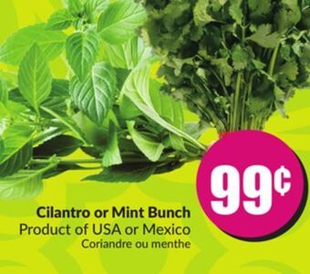Chalo FreshCo Cilantro or mint bunch product of usa or mexico offer