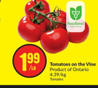 Chalo FreshCo Tomatoes on the vine product of ontario 4.39/kg offer