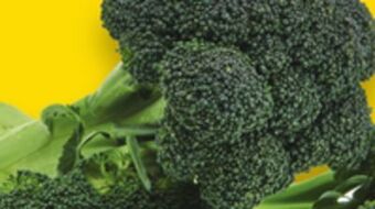 Giant Tiger Broccoli offer