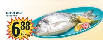 Marché Adonis Daurade royale offer