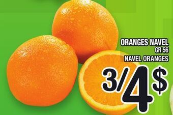 Marche Ami Oranges navel | navel oranges offer