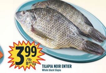 Marché Adonis Tilapia noir entier offer