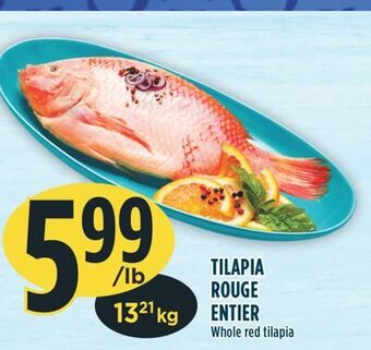 Marché Adonis Tilapia rouge entier offer