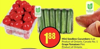 FreshCo Mini Seedless Cucumbers 6 pk Product of Ontario, Canada No. 1 Grape Tomatoes Pint Product of Ontario offer