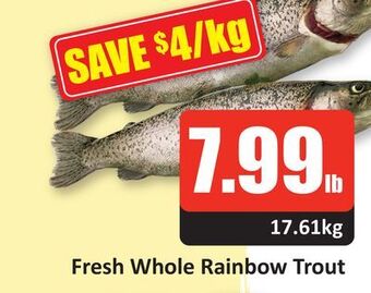 Starsky Fresh whole rainbow trout offer