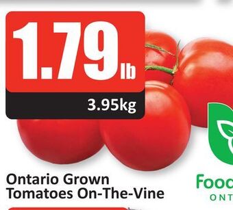 Starsky Ontario grown tomatoes on-the-vine offer