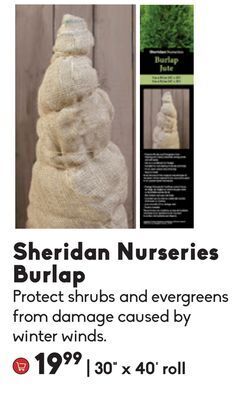 Sheridan nurseries burlap