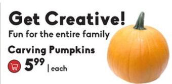 Sheridan Nurseries Carving pumpkins offer