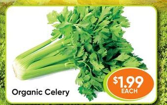 Healthy Planet Organic celery offer