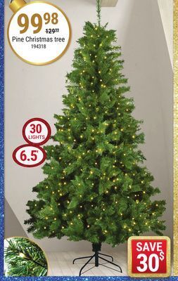 Rossy Pine christmas tree offer