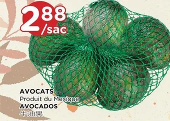 Kim Phat Avocados offer