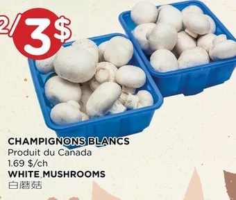 Kim Phat White mushrooms offer