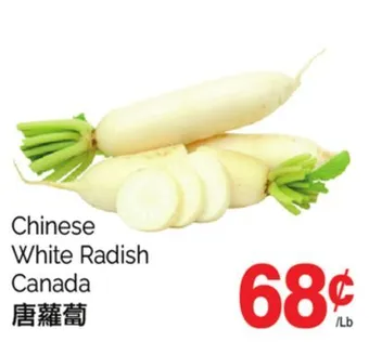 T&T Supermarket Chinese white radish offer