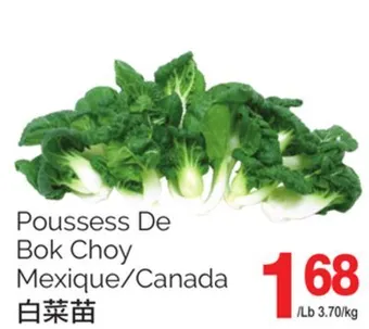T&T Supermarket Poussess de bok choy offer