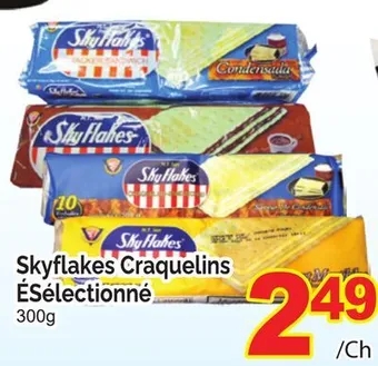 T&T Supermarket Skyflakes craquelins sélectionné, 300g offer