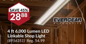 Princess Auto 4 ft 6, 000 lumen led linkable shop light offer