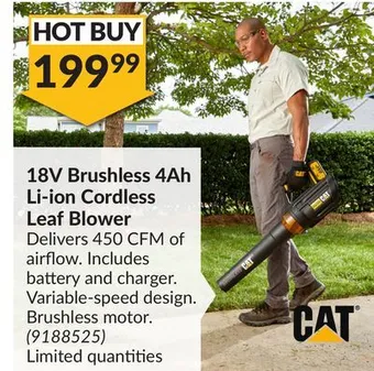 Princess Auto 18v brushless 4ah li-ion cordless leaf blower offer