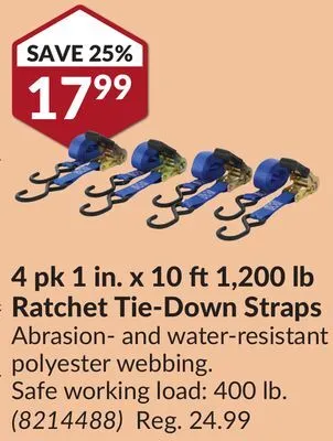 Princess Auto 4 pk 1 in. x 10 ft1,200 lb ratchet tie-down straps offer