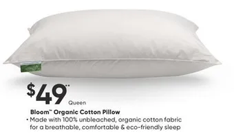 Sleep Country Bloom organic cotton pillow offer