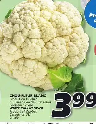 IGA White cauliflower offer