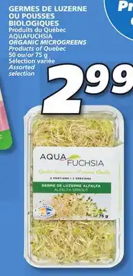 IGA Aquafuchsia organic microgreens offer