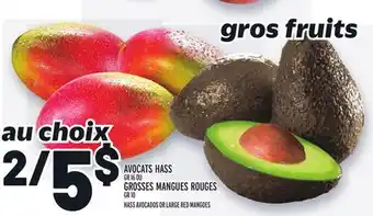 Metro Avocats hass | hass avocados offer