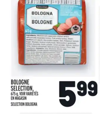 Metro Bologne selection | selection bologna offer