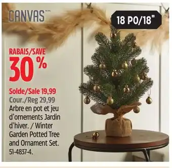 Canadian Tire Canvas winter garden potted tree and ornament set offer