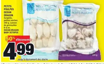 Super C Petits poulpes ocean dragon | ocean dragon baby octopus offer