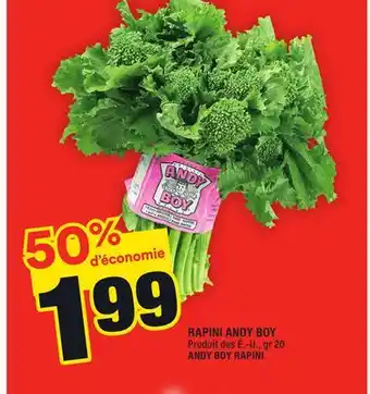 Super C Rapini andy boy | andy boy rapini offer
