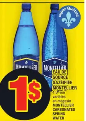Eau de source gazéifiée montellier | montellier carbonated spring water